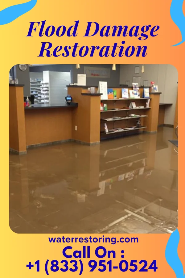 Flood Damage Restoration in South Komelik, AZ