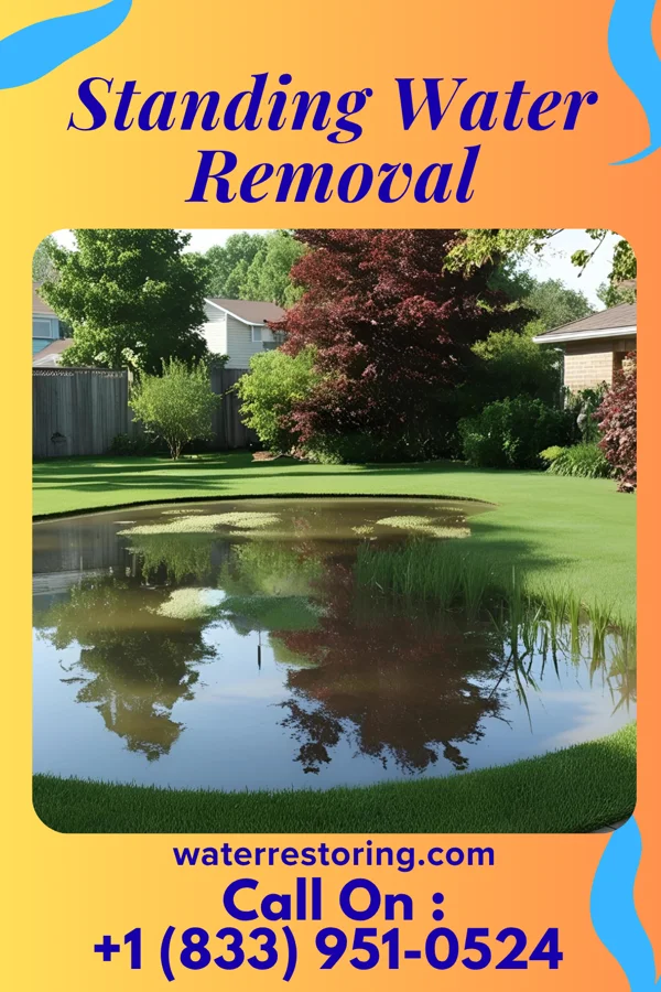 Standing Water Removal in South Komelik, AZ